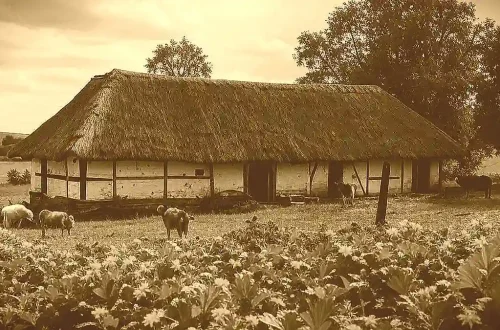 Familienlegende 1388: Vom Barensteker zum Bornholdt